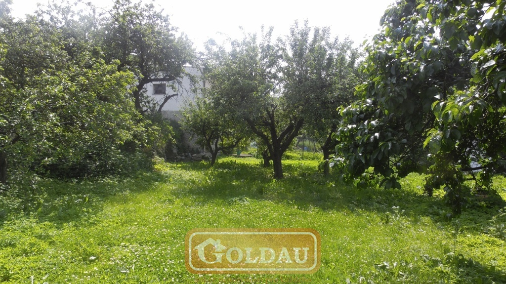 636633912528332379_a (21).JPG